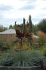 My Gallery: Image